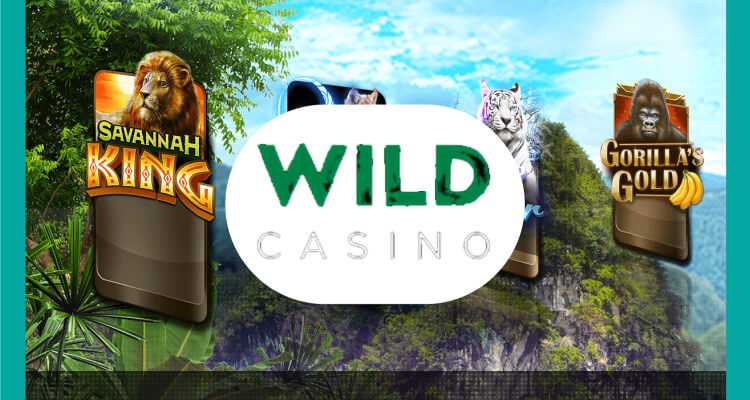 Application Wild casino